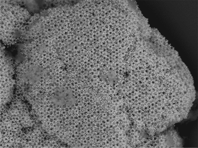 Surface of a crystal seen through an electron microscope.