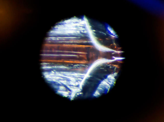 fibers under a microscope