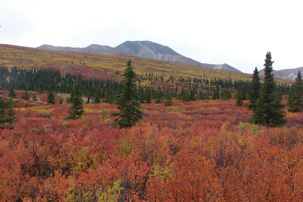 browning wilderness and rolling hills