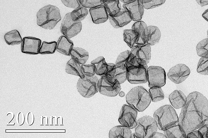 a 200nanometer close up image under microscope of the platinum cages with the silver removed by acid