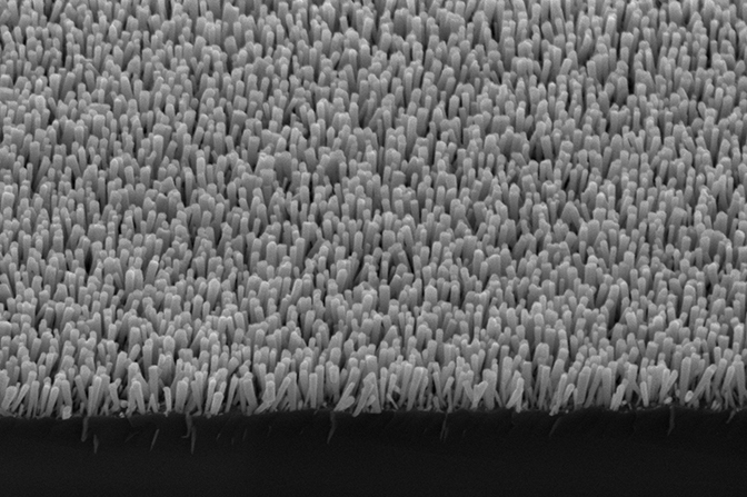 a microscopic image showing the semiconductor nanowires that deliver electrons to metal nanoparticles to form methane