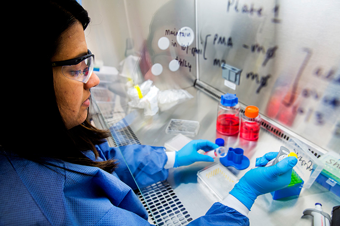 an image of research fellow shreya raghavan constructing a hanging drop spheroid platform