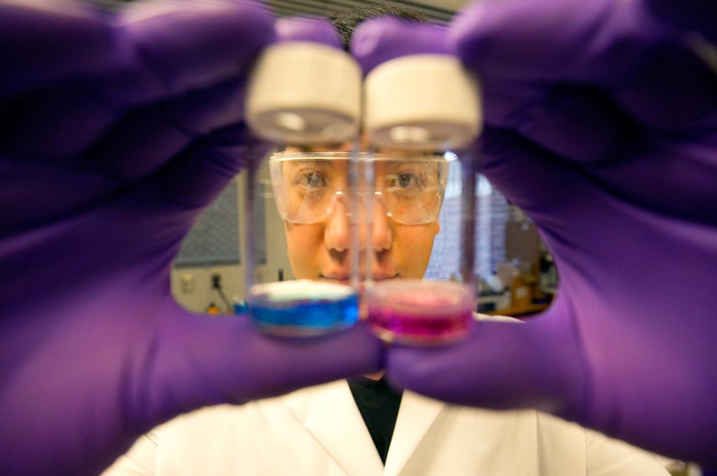 A researcher holds up a vial of blue liquid and a vial of pink liquid.