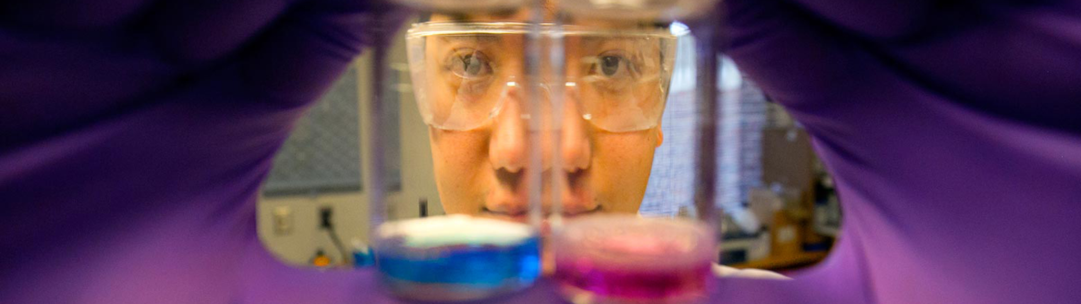 A researcher holds up a vial of blue liquid and a vial of pink liquid.