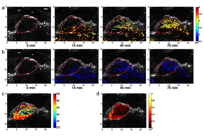 A series of heatmaps with varying red, yellow, green, and blue areas.