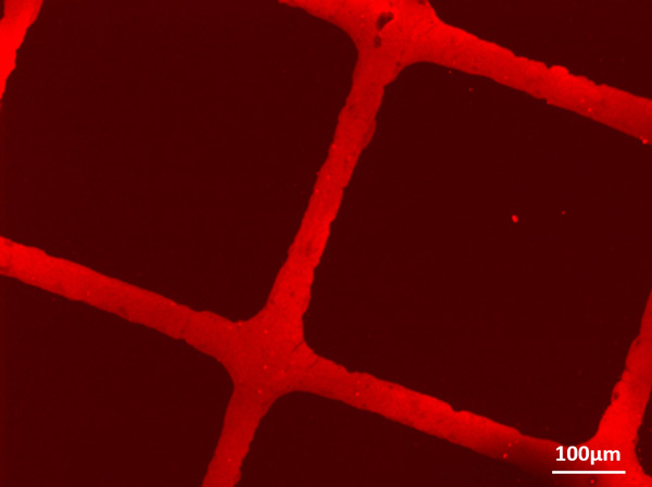 Microsope image of square patterned plastic chip coated with new coating