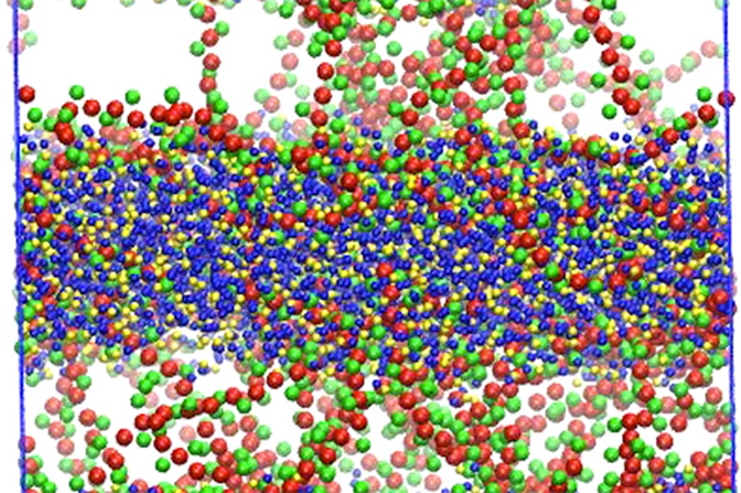 Red, green, blue, and yellow molecules interacting