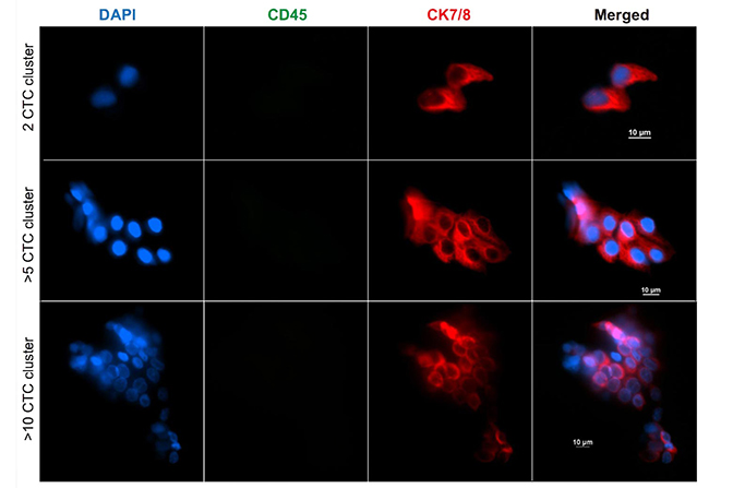 A series of microscope images with red and blue illuminated spots.