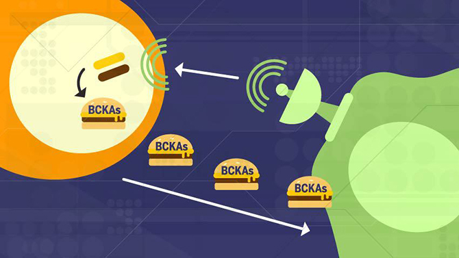 Cartoon hamburgers labeled "BCKAs" float from an orange mass to a green mass with a satellite.