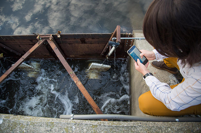 an image of research fellow brandon wong remotely activating valves to control the flow of water