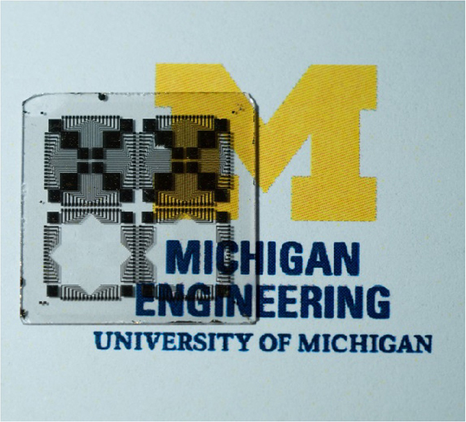 A small, clear device on top of a Michigan logo.