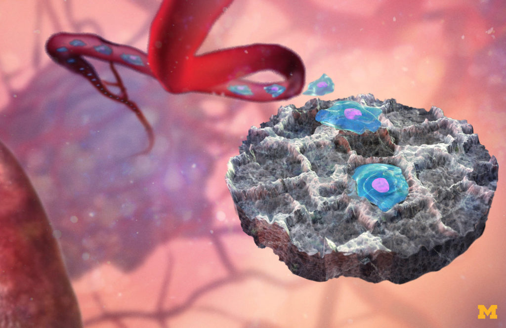 Illustration of blue cells moving out of a blood vessel and onto a gray disc.