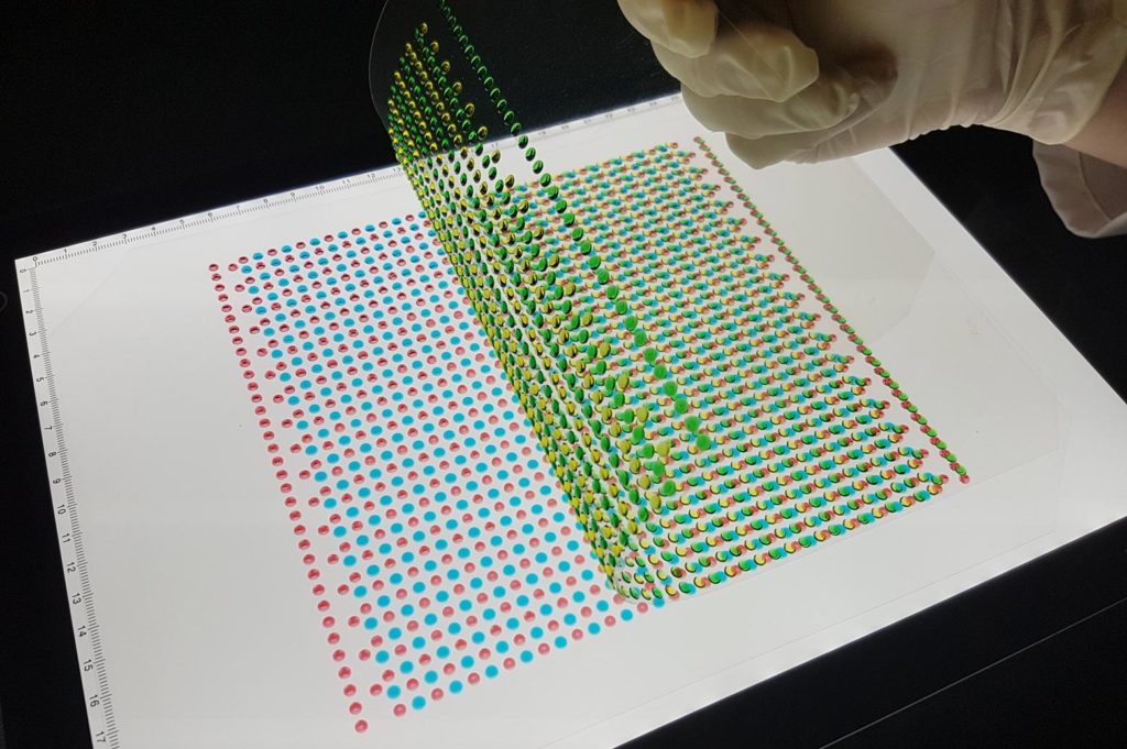 Many small hydrogel dots lain out by a researcher