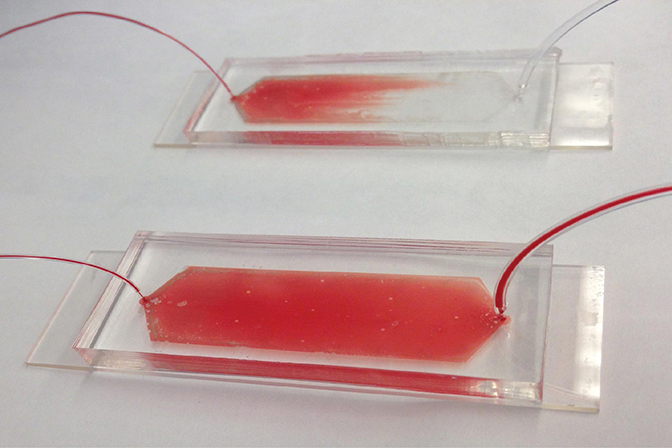 Two flat glass containers of red liquid with small tubes coming out.