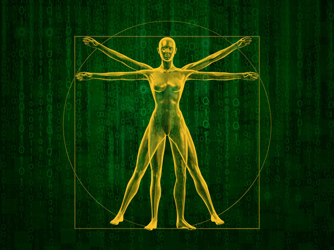Illustration of human body