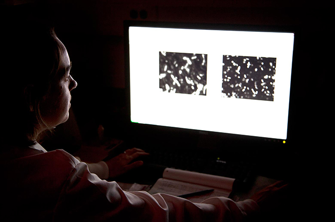 A woman looks at a computer screen displaying microscope images.