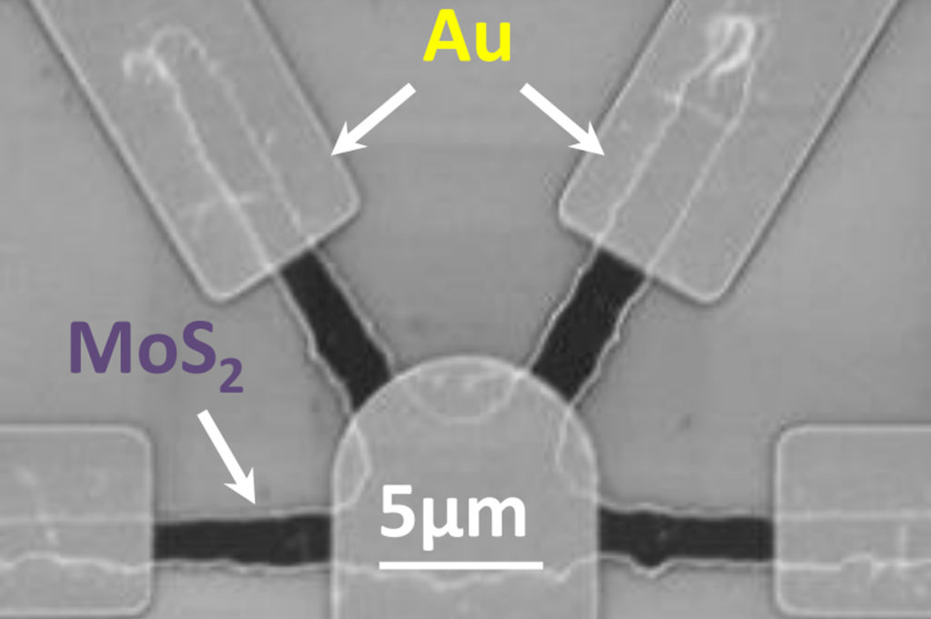 A grayscale image with gray rectangles labeled "Au" and darker channels labeled "MoS2".