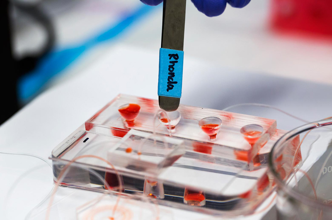 Rhonda Jack adjusts the microfluidic device while running a sample.