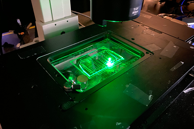 Image of a specially-designed biosensor that allows blood samples to be rapidly tested for the presence of cytokines