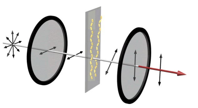 Illustration of a device that can reveal whether amyloid proteins are assembling into chains, unpolarized light enters a horizontal polarizer