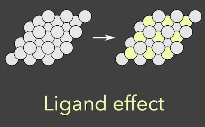 Another effect that can change how well reactants bind to the catalyst is the ligand effect