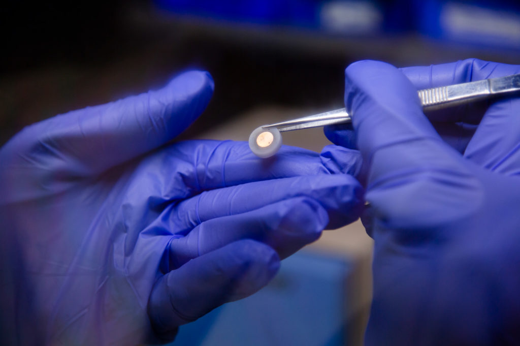 Michael Wang, materials science and engineering Ph.D. candidate, uses a glove box to inspect a lithium metal battery cell in a lab at the University of Michigan in 2020.