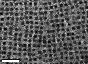 Cubes of lead telluride and triangles of lanthanum fluoride self-assembled into a grid in the lab, when the researchers followed the conditions discovered through the computer simulations. This technique could help enable new kinds of materials with new properties. The scale bar on the electron microscope image is 100 nanometers. Credit: Murray Lab, University of Pennsylvania.