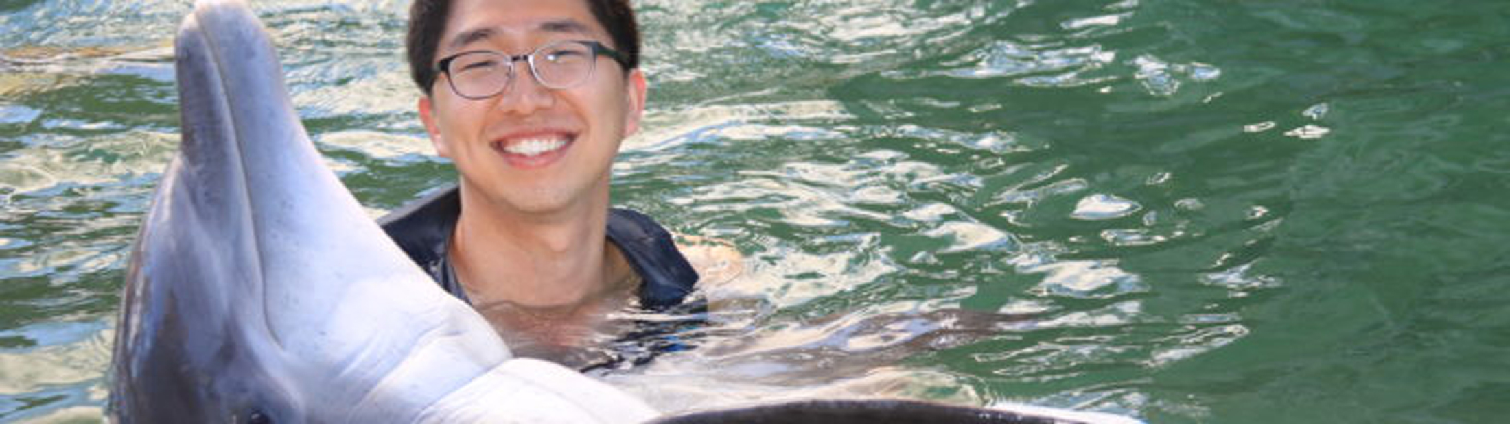 YeonJoon Cheong working with a dolphin.