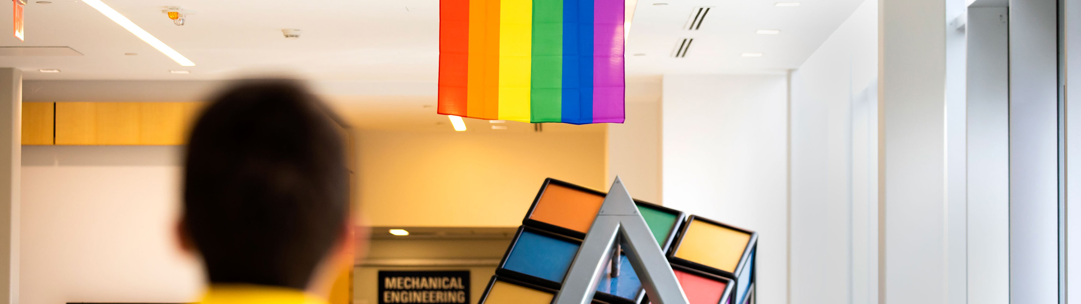 Image of LGBTQA+ flag