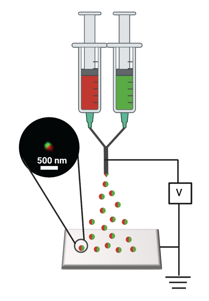 A diagram of how the nanomedicine is made