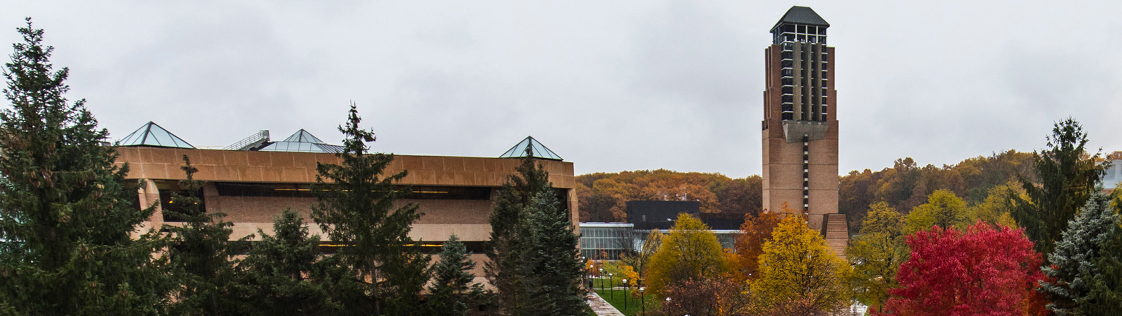 North campus’ Grove and Duderstadt during fall 2018.