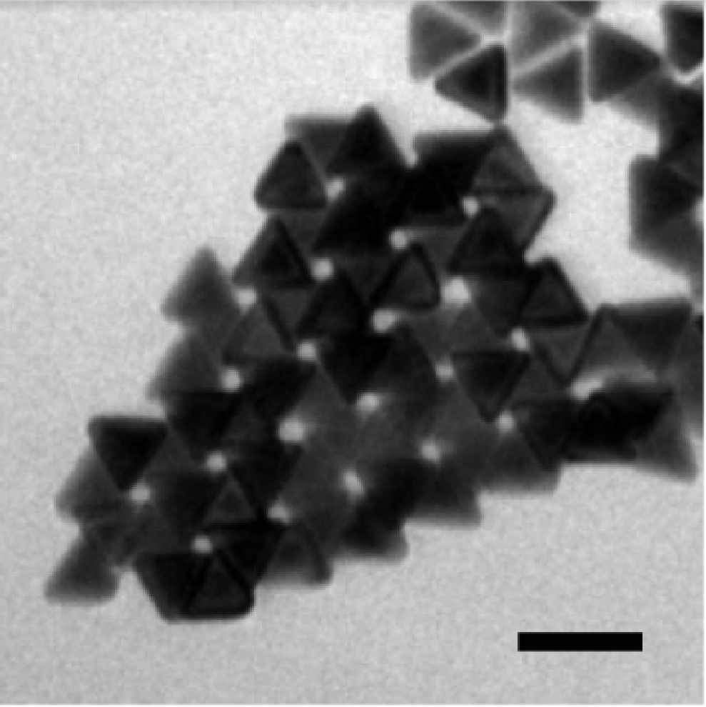 An electon microscope image of the nanopyramid structure showing tightly twisted pinwheel patterns.