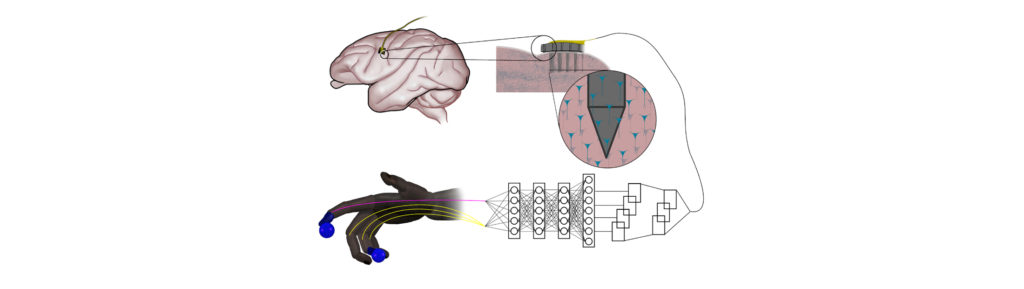 Simple neural networks outperform the state-of-the-art for controlling robotic prosthetics 