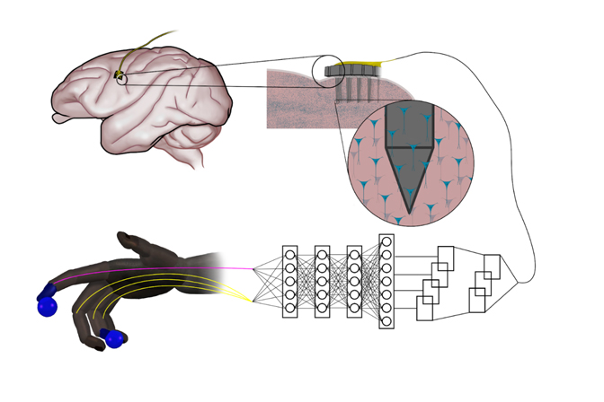 Simple neural networks outperform the state-of-the-art for