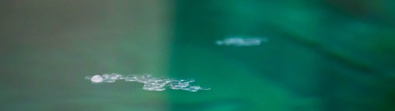 Tracking ocean microplastics from space - Michigan Engineering News