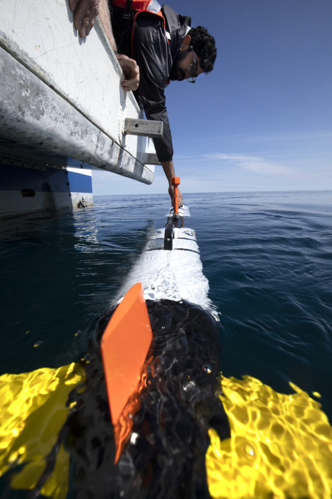 Sethuraman leans over the water and places the AUV just at the surface. It's yellow fins are submerged while an orange vertical fin jets above the water. It's a blue, sunny day.