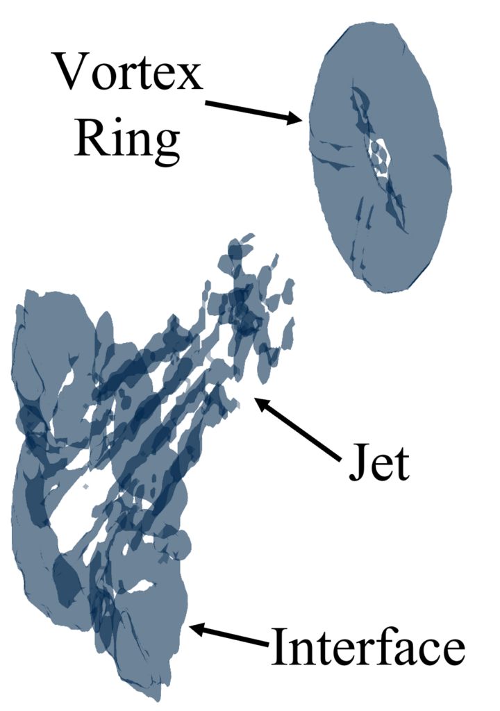 The vortex ring is like a donut flying ahead of the vaguely cone-like jet behind it, with the point facing the vortex ring