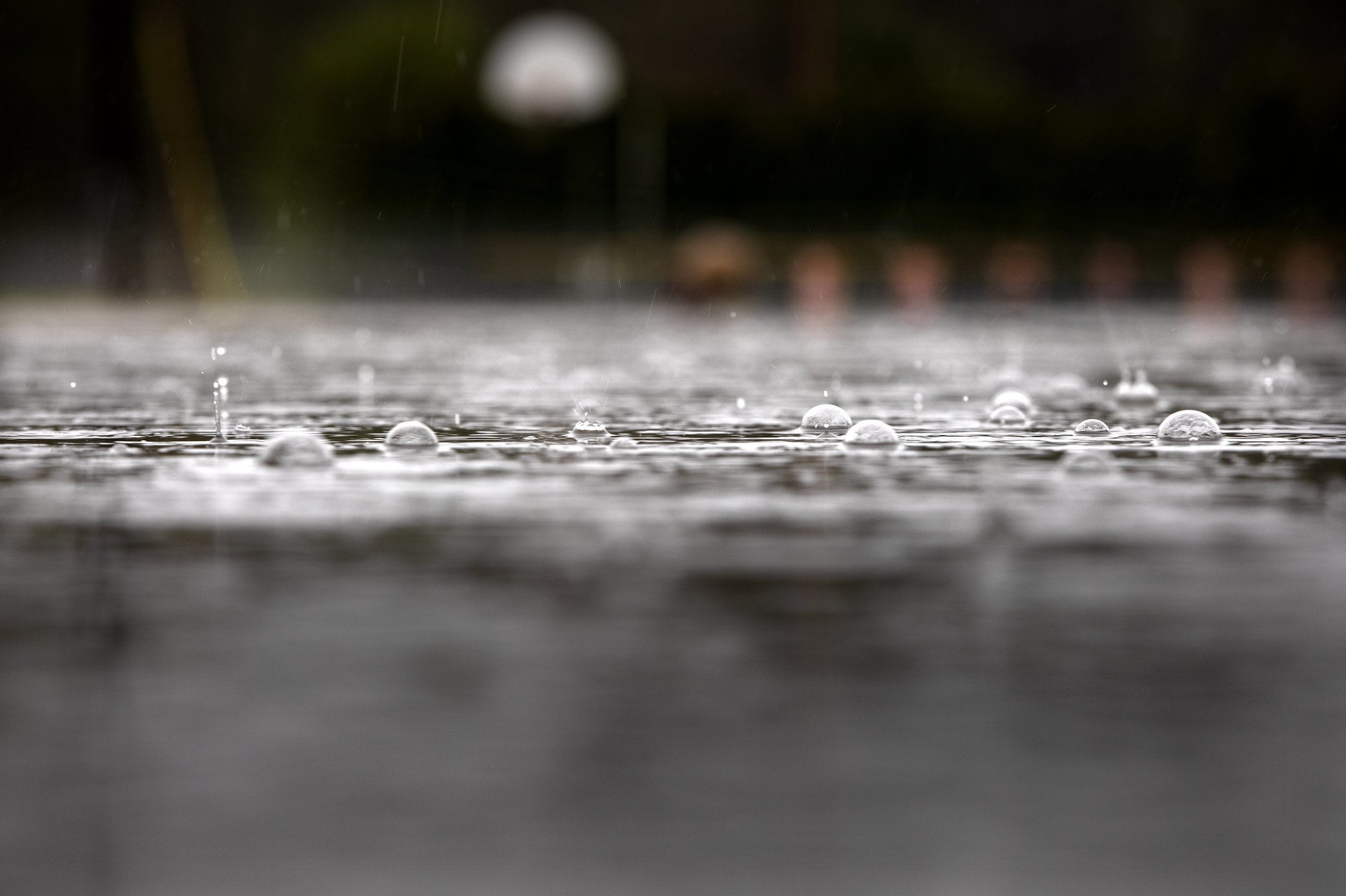 A close-up of a puddle, showing raindrops splashing in and bubbles on the surface.