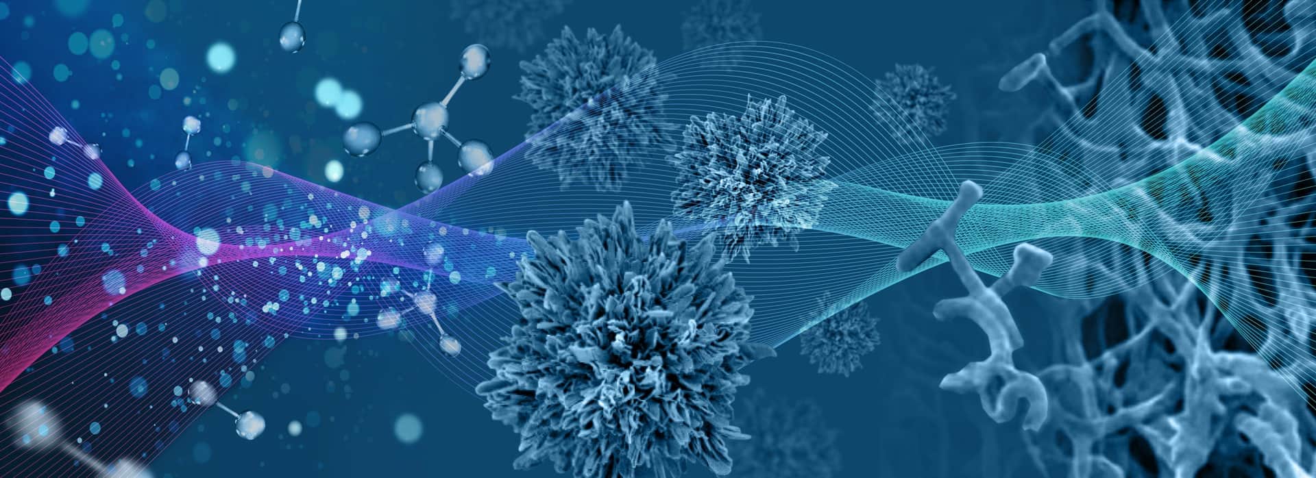 From the left, an array of dots becomes ball-and-stick molecular models. Next are electron microscope images of nanostructured particles and on the right, a lifelike network of filaments. A wavy surface traced out by a grid overlays the sequence of images.