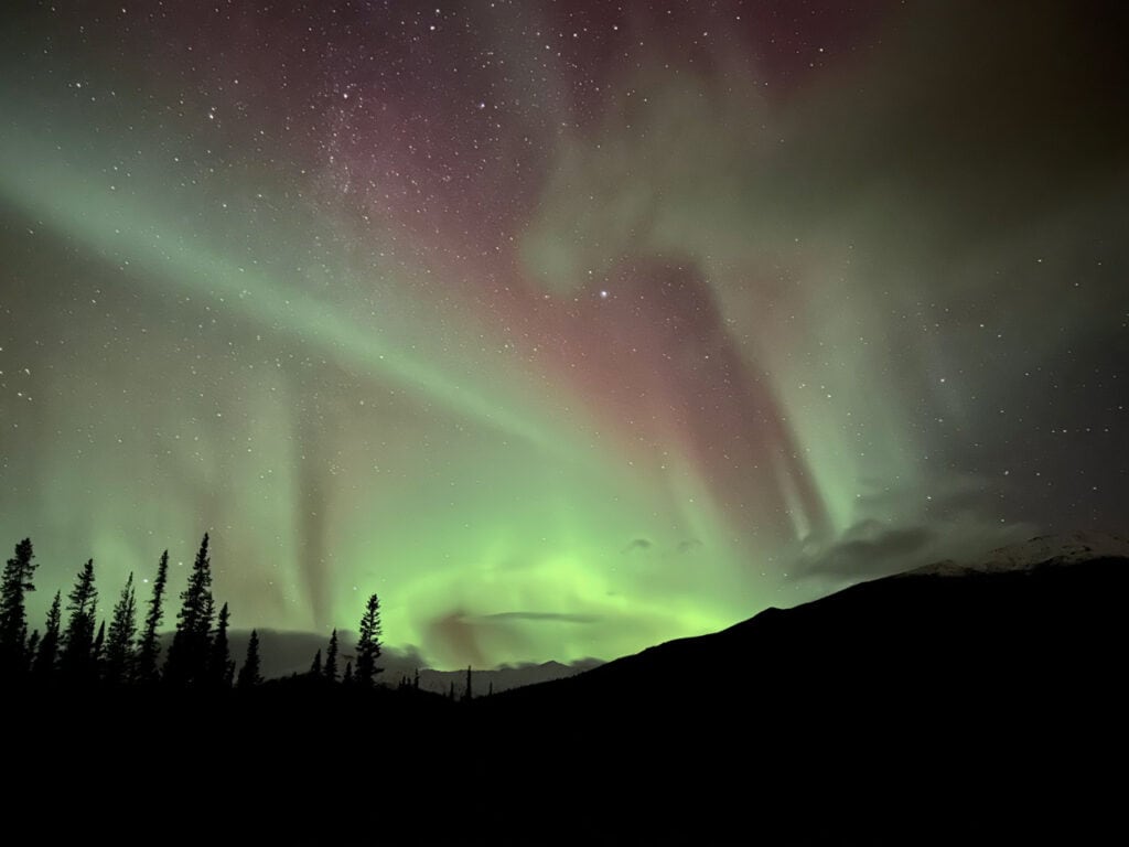 The northern lights illuminate the Alaskan sky and appear as ribbons of purple with neon green light. Stars shine through the purple ribbons as white points of light. The Alaskan landscape is casted completely in a black shadow in the bottom third of the image. The land is only visible as the outlines of trees and mountains.
