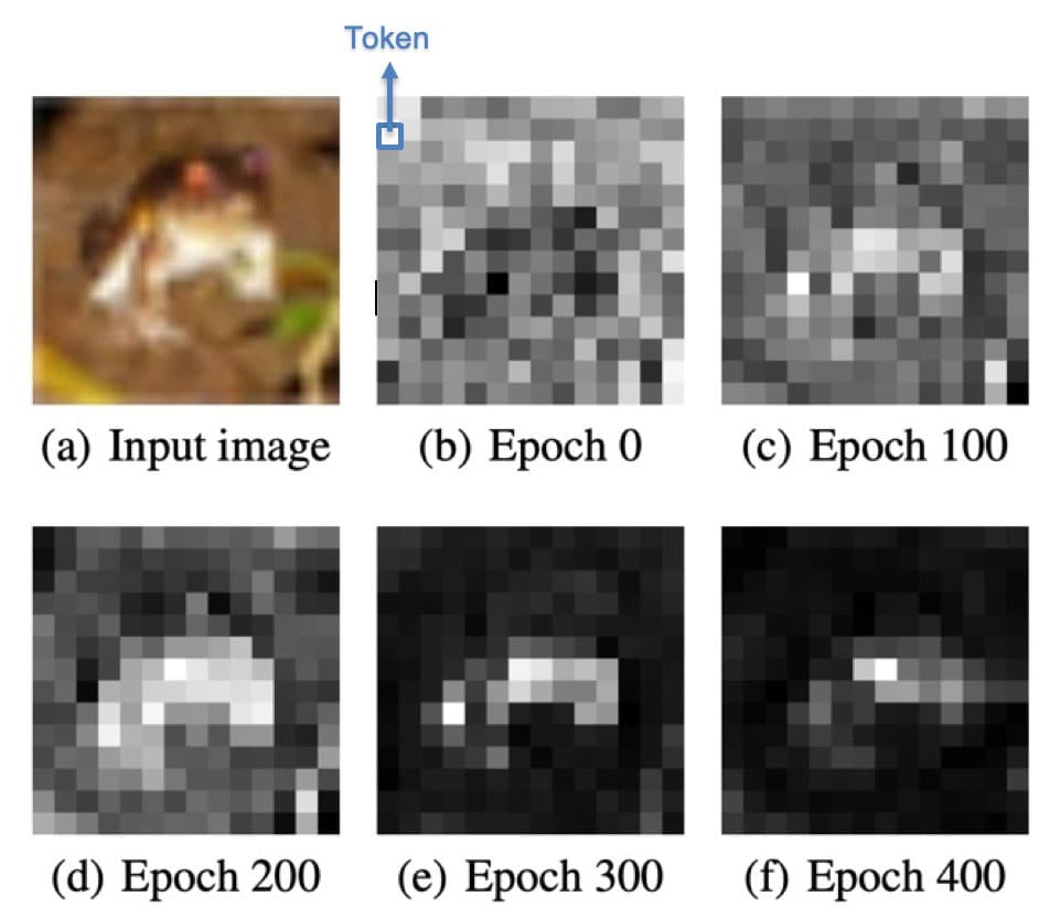 A grid of six images showing an improvement in focus each time