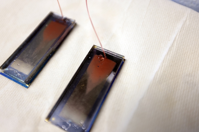 Two GO chips are laying on a benchtop lined with a paper towel. The chips resemble rectangular microscope slides encased in glass. The inlet line is red with crimson blood, which has also flown into the chip and completely fills the top portion of the chips' internal compartments. Along the chip, a gradient of red to gold-gray shows that the blood has only progressed halfway through the chip.