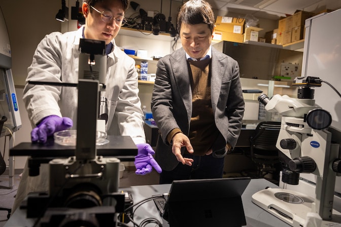 Jianping Fu, Ph.D., Professor of Mechanical Engineering at the University of Michigan and the corresponding author of the paper being published in Nature discusses his team’s work in their lab with Jeyoon Bok, Ph.D. candidate at the Department of Mechanical Engineering.