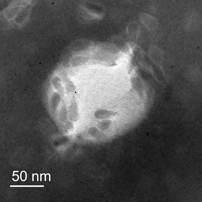 The leftmost side of a white circular blob (the virus) is covered in gray, teardrop-shaped nanoparticles.