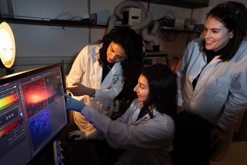 A trio of University of Michigan researchers gather around a computer monitor that shows images of the human ovary.