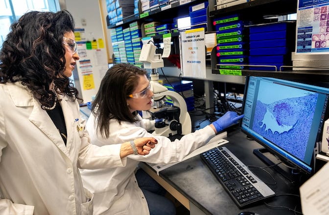 Ariella Shikanov and PhD student Margaret Brunette observe a computer screen displaying their research on ways to preserve and restore reproductive and endocrine function, including a spatial map of the human ovary. 
