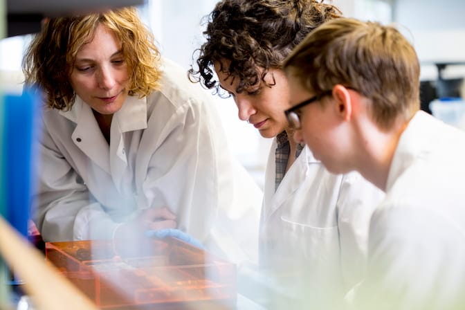 Three people in white research coats lean over a lab bench, looking into a translucent orange box.