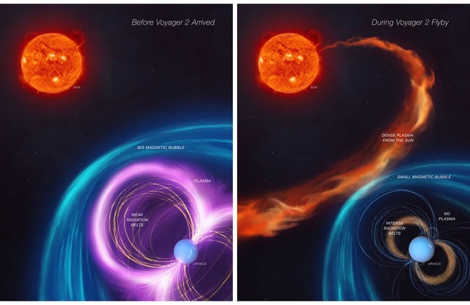 An image on the left shows a large, shimmering blue magnetic bubble around Uranus before the arrival of Voyager 2. The planet also had a dense cloud of plasma in its magnetic field, which looks like a glowing purple haze surrounding thin, yellow radiation bands. The sun appears as a fiery red orb in the distance. An image on the right shows a smaller magnetic bubble during the voyager flyby. A stream of red plasma streams from the sun, smashing into the bubble. The glowing purple plasma is absent, and the yellow radiation bands are thicker.