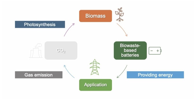  A circular flow chart with forward arrows connecting: biomass, biowaste-based batteries, application, gas emission, photosynthesis. 