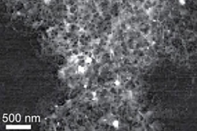 White, porous tendrils on a black background with much of the background showing through. A scale bar in the bottom left corner reads 500 nanometers—about the width of 4 pores. The whole image is about 8,000 nanometers square.